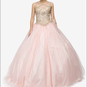 Quinceañera dress Not for Sale Read Description